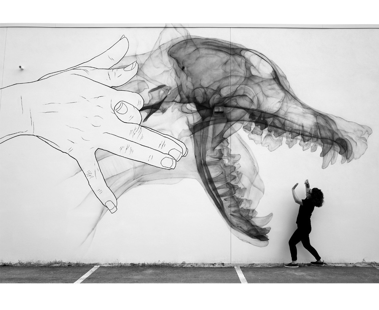 shok-1