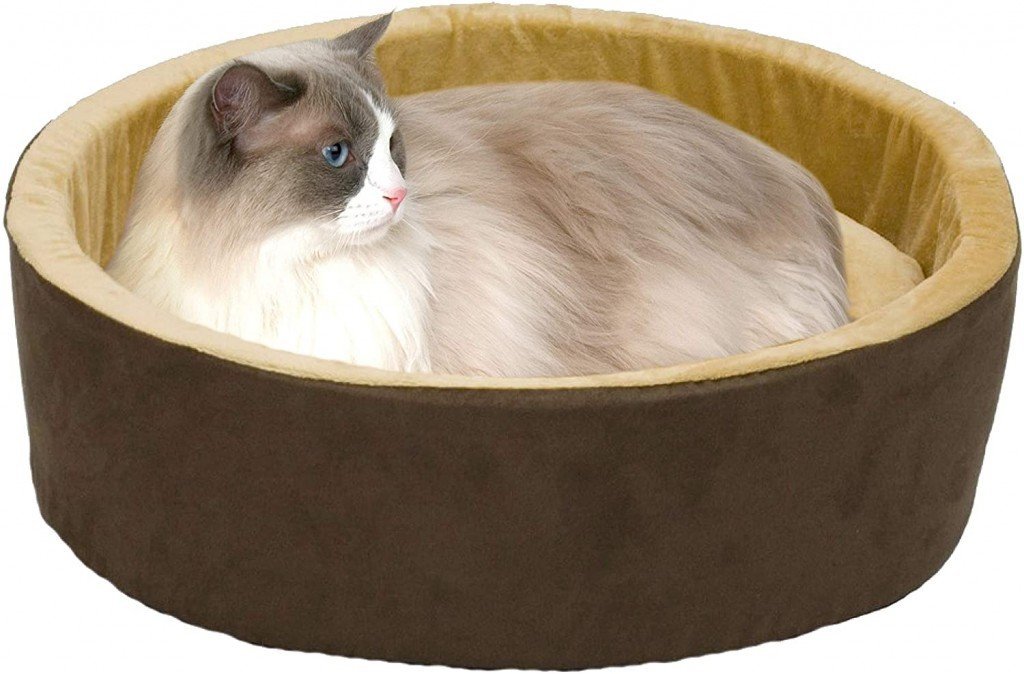 5 Gadgets A Cat Lover Must Have!
