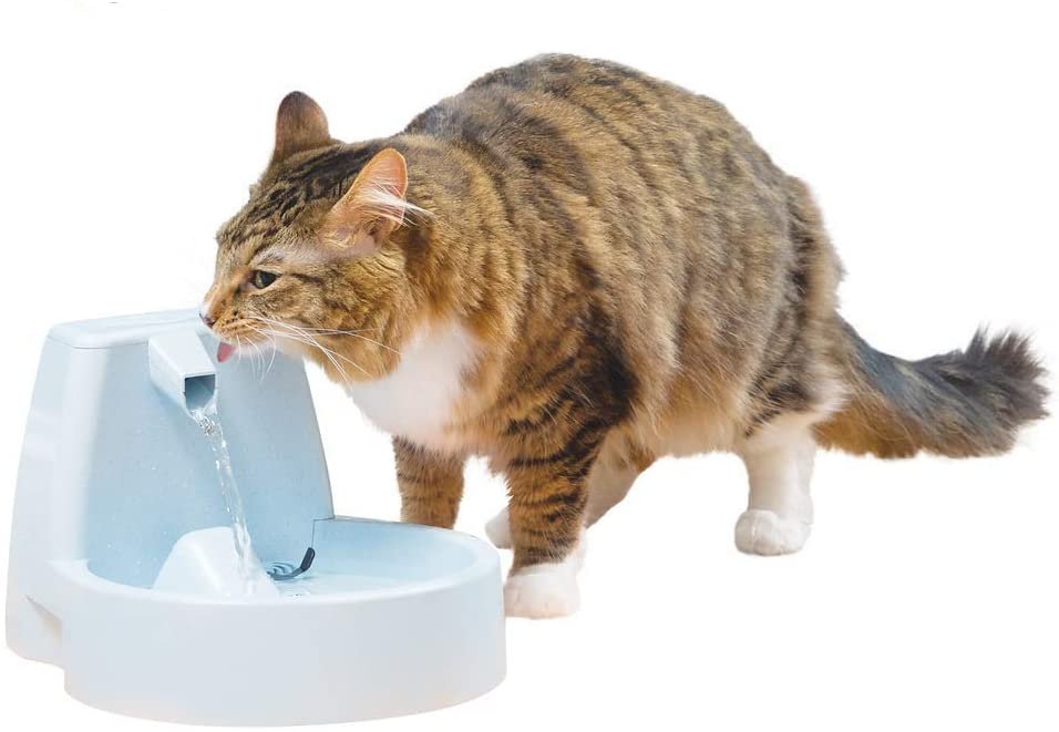 5 Gadgets A Cat Lover Must Have!