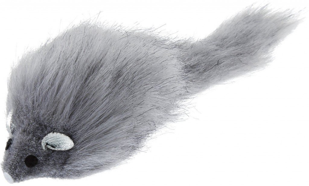 5 Gadgets A Cat Lover Must Have!