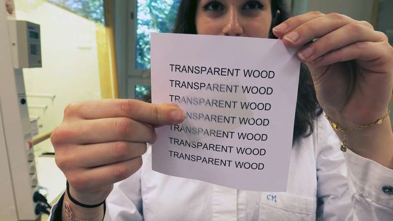 Transparent wood windows : Can We Really Replace Window-Glass With Wood?