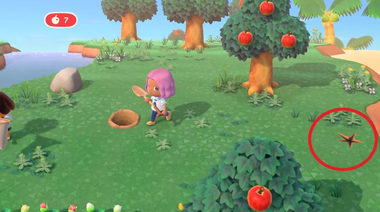 Which One Of these Activities In Animal Crossing Kills Your Boredom