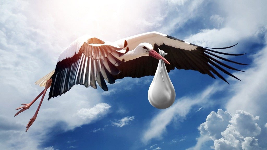 Baby Shower, But From The Sky?- Unravelling The Myth Of Storks Carrying Children
