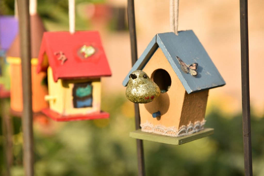10 Things A Bird Owner Should Always Keep In Mind - bird handling techniques