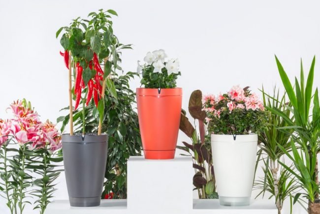 5 Smart Gadgets That You Must Have For Your Home Garden! - Best smart garden gadgets