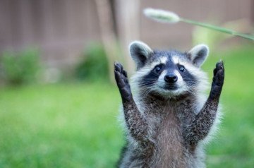 Judging These Animals By Their Looks Could Be The Last Mistake Of Your Life!