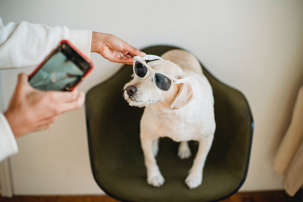 This Fashionable Influencer With His Even More Fashionable Dog Will Blow Your Mind!